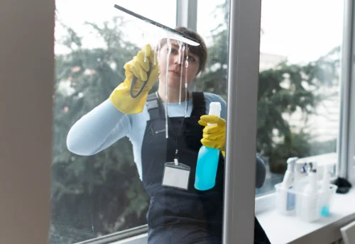 Nettoyage de vitres intérieures et extérieures à Champis